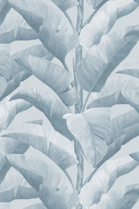 Botanica Wallpaper - Blue