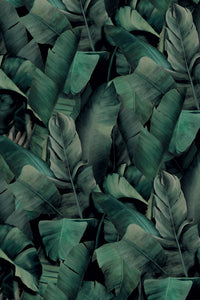 Botany 2 Wallpaper - Green