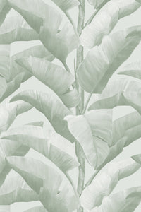 Botanica Wallpaper - Light Green